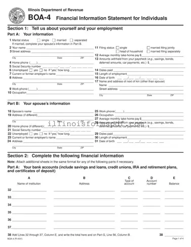 Get Illinois Boa 4 Form