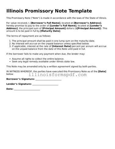 Printable Illinois Promissory Note Form